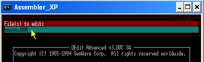 Qedit con XP o Vista - Qedit ha chiuso il sorgente Nuovo.ASM