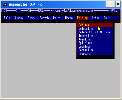 Ambiente Assembler - Menu Editing