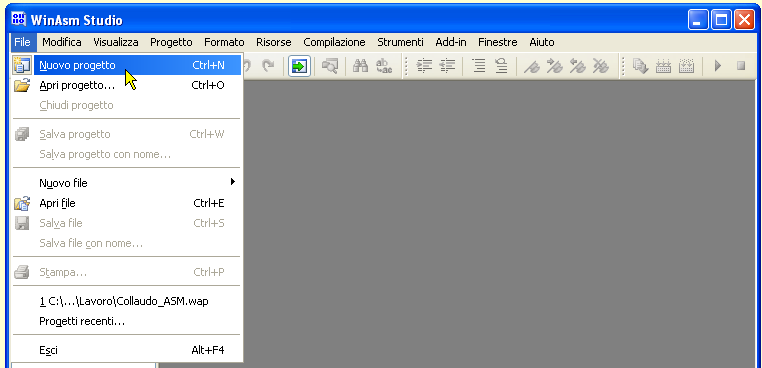 WinAsm - Creazione Nuovo progetto