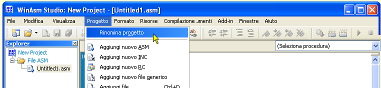 WinAsm - Rinominare Nuovo progetto