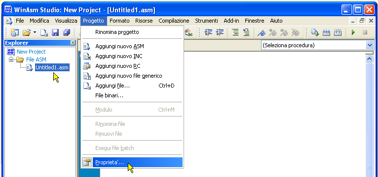 WinAsm - Creazione Nuovo progetto