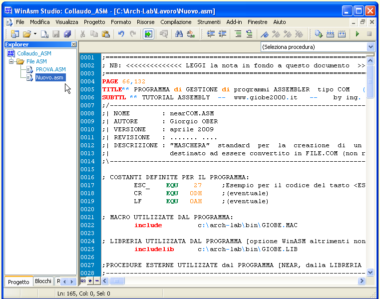 WinASM Studio - Assunzione di una matrice