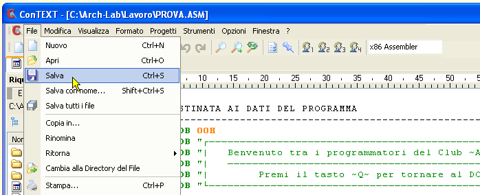 Accesso con ConTEXT - effetto finale Bis