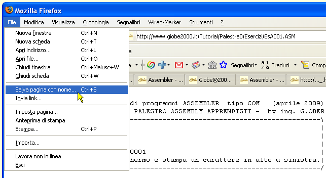 Scaricare un sorgente ASM con Mozilla - 01