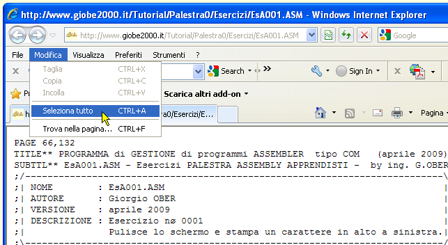 Copiare un sorgente ASM in Notepad - 01