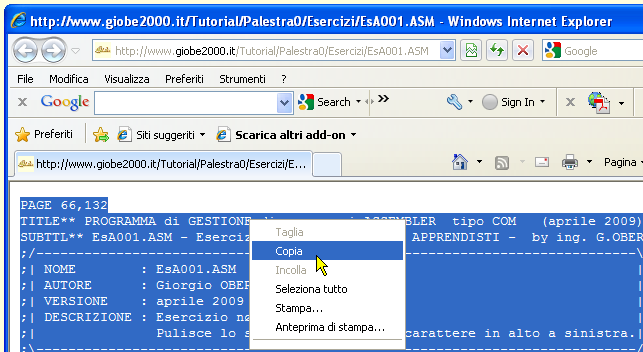 Copiare un sorgente ASM in Notepad - 02